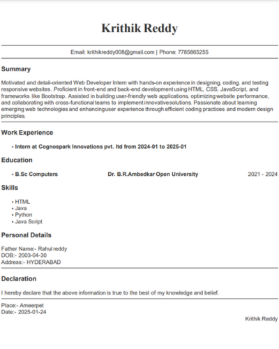 Resume template example with a profile picture and details